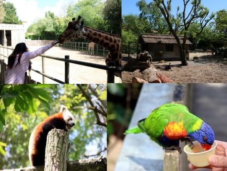 Que faire en Vendée : le Zoo des Sables Que faire en Vendée : le Zoo des Sables