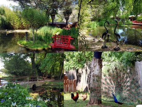 Que faire en Vendée : le Parc Floral de la Court d'Aron Que faire en Vendée : le Parc Floral de la Court d'Aron