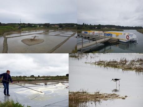 Que faire en Vendée : les Salines Que faire en Vendée : les Salines