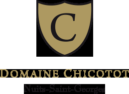 Pélerinage estival : 3. Tasting au domaine Chicotot à Nuits Saint Georges