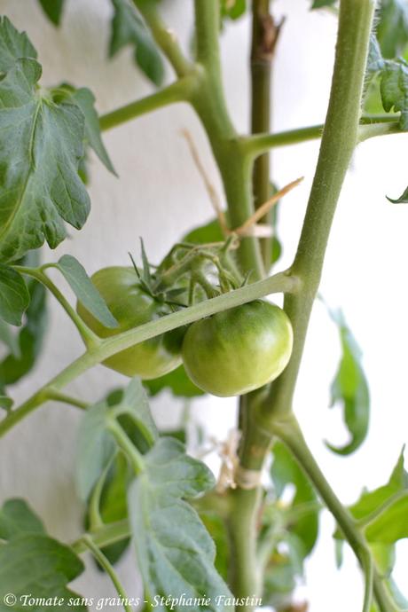 Mon mini jardin... bon ok, mon balcon ^^ Mon mini jardin... bon ok, mon balcon ^^