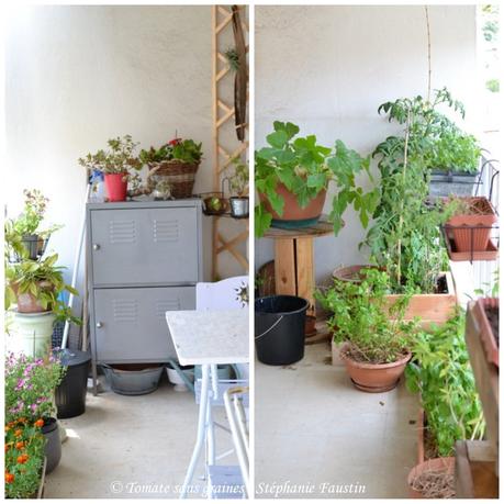 Mon mini jardin... bon ok, mon balcon ^^ Mon mini jardin... bon ok, mon balcon ^^
