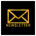 Cover reveal : Découvrez la couverture de Big Shot de Kim Karr gold label_newsletter