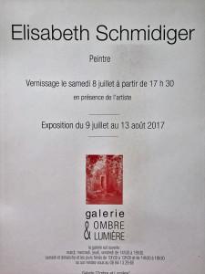 Galerie Ombre et Lumière à VENTEROL (Drôme) 9 Juillet au 13 Août 2017 -exposition E. Schmidiger et A. Meyer