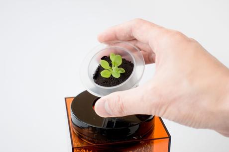 Spacepot, un pot hydroponique digne de la NASA dans votre cuisine, par FutureFarms