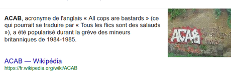 manif contre le #Menhir à #Bordeaux :   l’Etat du côté des fachos #antifa #LDH