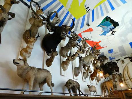 Musée de la chasse et de la nature musée paris exposition chasse animaux sauvages nature hôtel particulier art tableaux sculptures