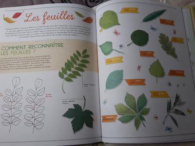 Feuilletages d'albums #52 : Activités de plein air - Le super livre de la nature Feuilletages d'albums #52 : Activités de plein air - Le super livre de la nature