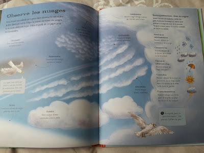 Feuilletages d'albums #52 : Activités de plein air - Le super livre de la nature Feuilletages d'albums #52 : Activités de plein air - Le super livre de la nature