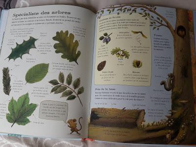 Feuilletages d'albums #52 : Activités de plein air - Le super livre de la nature Feuilletages d'albums #52 : Activités de plein air - Le super livre de la nature