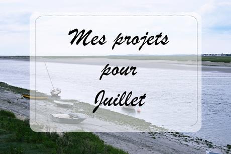 MES PROJETS POUR JUILLET MES PROJETS POUR JUILLET
