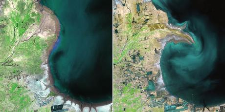 10+ images qui prouvent que la planète subit des changements drastiques ala 11