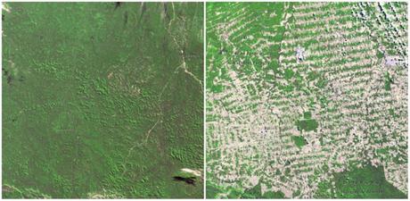 10+ images qui prouvent que la planète subit des changements drastiques ala 3