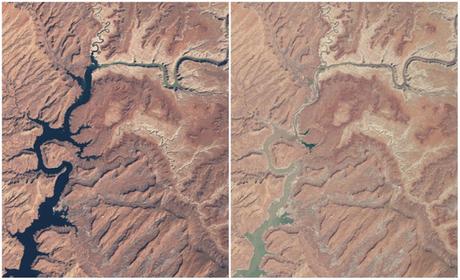 10+ images qui prouvent que la planète subit des changements drastiques ala 5