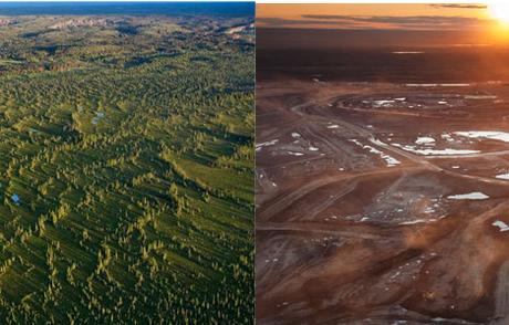 10+ images qui prouvent que la planète subit des changements drastiques ala 12