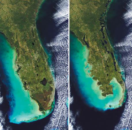 10+ images qui prouvent que la planète subit des changements drastiques Composite