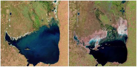 10+ images qui prouvent que la planète subit des changements drastiques ala 4
