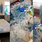 Exasperated mum shows carnage of house covered in blue paint by kids after spending 10 minutes filling up paddling pool - Storytrender