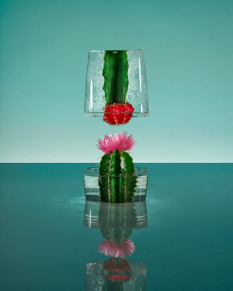 Cette photographe emprisonne des fleurs dans la glace pour réaliser de superbes clichés