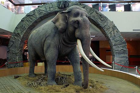 Un siècle d’histoires des stars de Taipei !! Linwang, 86ans, l’éléphant asiatique qui a vécu le plus longtemps au monde