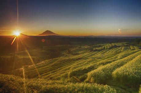 Voyage à Bali (pas cher), tout savoir : incontournables, budget, bons plans! Voyage à Bali (pas cher), tout savoir : incontournables, budget, bons plans!