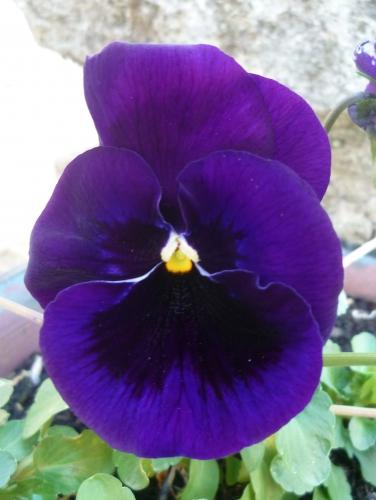 LE TEMPS ET LES SAISONS poèmes,poète,poésie,auteur,écriture,recueil,hommage