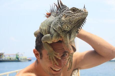 On oublie tout... On oublie tout...