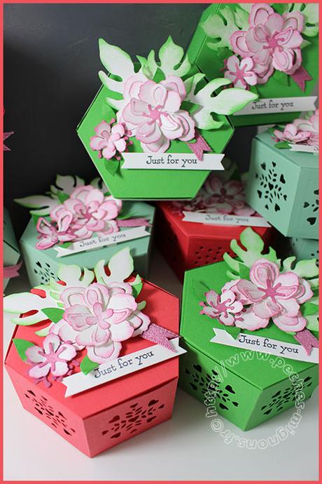 Swap de la crop du Forum A vos cartes! IMG_54881