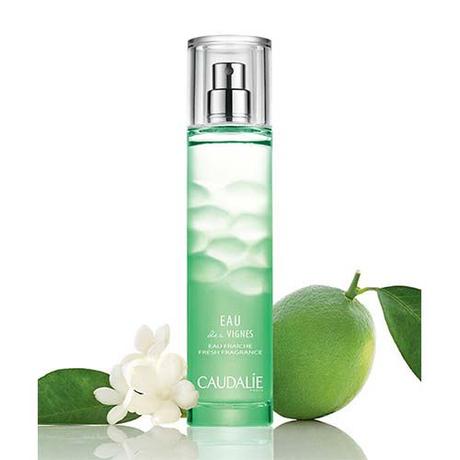 OUI LES PARFUMS PAS CHERS EXISTENT! OUI LES PARFUMS PAS CHERS EXISTENT!