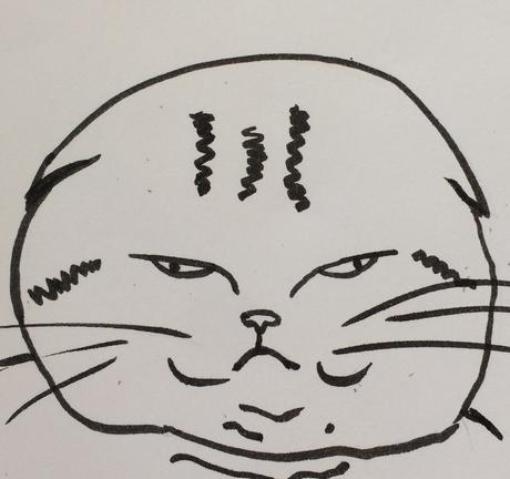 Chats schématiques Chats schématiques