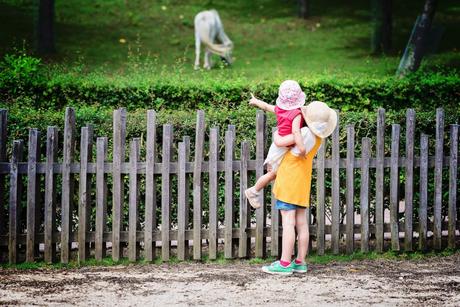 PasLoinDeChezNous #1 – Le Zoo Gaia Un petit tour à l'intérieur de la petite ferme ! Les enfants aiment toujours cette proximité avec les animaux ! – à GaiaZOO.