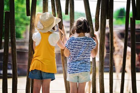PasLoinDeChezNous #1 – Le Zoo Gaia Ahaa, voici les giraffes ! – à GaiaZOO.