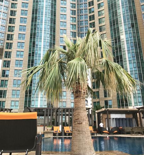 L’hôtel de luxe 5 étoiles Sofitel Corniche à Abu Dhabi L’hôtel de luxe 5 étoiles Sofitel Corniche à Abu Dhabi