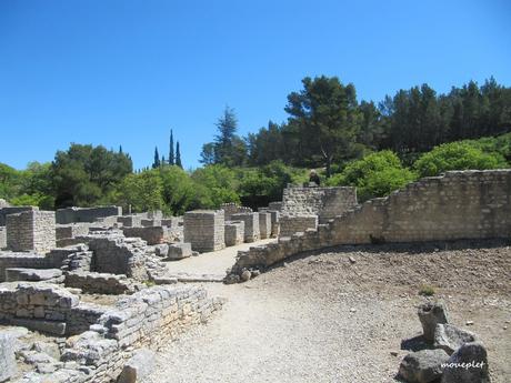 La France - St Rémy de Provence 3