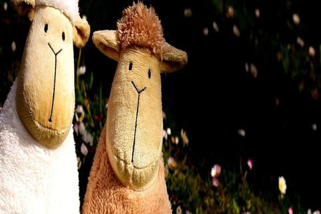 Les Macron d’abord! Les Macron d’abord!