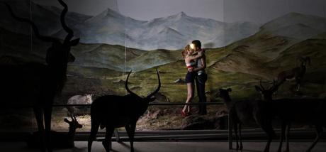 « Dioramas » l’exposition au Palais de Tokyo « Dioramas » l’exposition au Palais de Tokyo