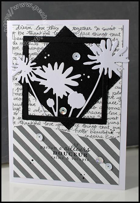 Carte Scrap #838 IMG_56401