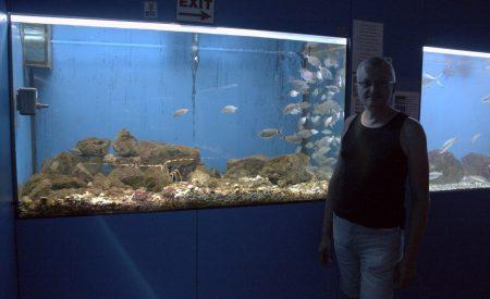 Juillet 2017 – séjour sur l’ile de KRK en Croatie Juillet 2017 – séjour sur l’ile de KRK en Croatie