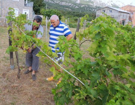 Juillet 2017 – séjour sur l’ile de KRK en Croatie Juillet 2017 – séjour sur l’ile de KRK en Croatie