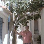 Juillet 2017 – séjour sur l’ile de KRK en Croatie Juillet 2017 – séjour sur l’ile de KRK en Croatie