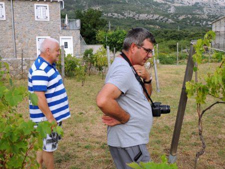 Juillet 2017 – séjour sur l’ile de KRK en Croatie Juillet 2017 – séjour sur l’ile de KRK en Croatie