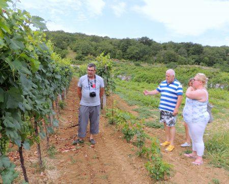 Juillet 2017 – séjour sur l’ile de KRK en Croatie Juillet 2017 – séjour sur l’ile de KRK en Croatie