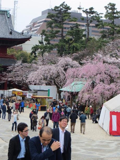 Voyage à Tokyo : Tsukiji Market, Tokyo Tower et 47 Ronins Voyage à Tokyo : Tsukiji Market, Tokyo Tower et 47 Ronins