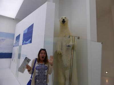 Musée du jouet, Espace des mondes polaires : deux musées testés et approuvés