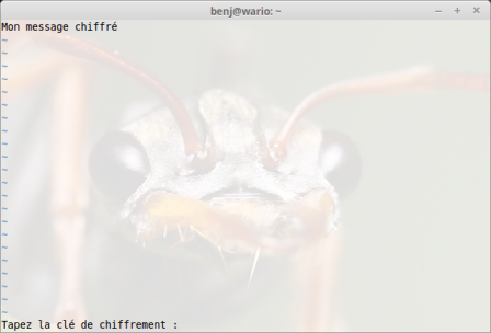 Chiffrer simplement un fichier texte avec Vim Chiffrer simplement un fichier texte avec Vim