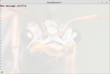 Chiffrer simplement un fichier texte avec Vim Chiffrer simplement un fichier texte avec Vim