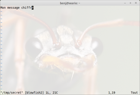 Chiffrer simplement un fichier texte avec Vim Chiffrer simplement un fichier texte avec Vim