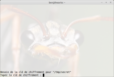 Chiffrer simplement un fichier texte avec Vim Chiffrer simplement un fichier texte avec Vim