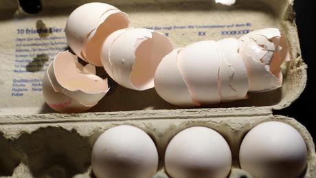 La France rattrapée par le scandale des œufs contaminés au fipronil La France rattrapée par le scandale des œufs contaminés au fipronil