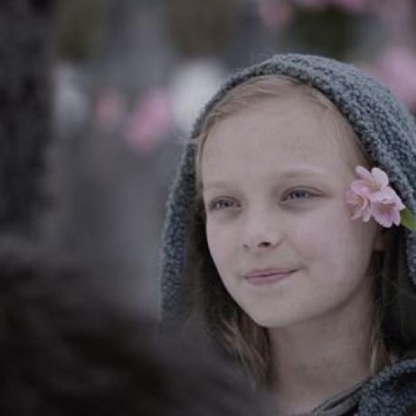 La planète des singes : suprématie La planète des singes : suprématie